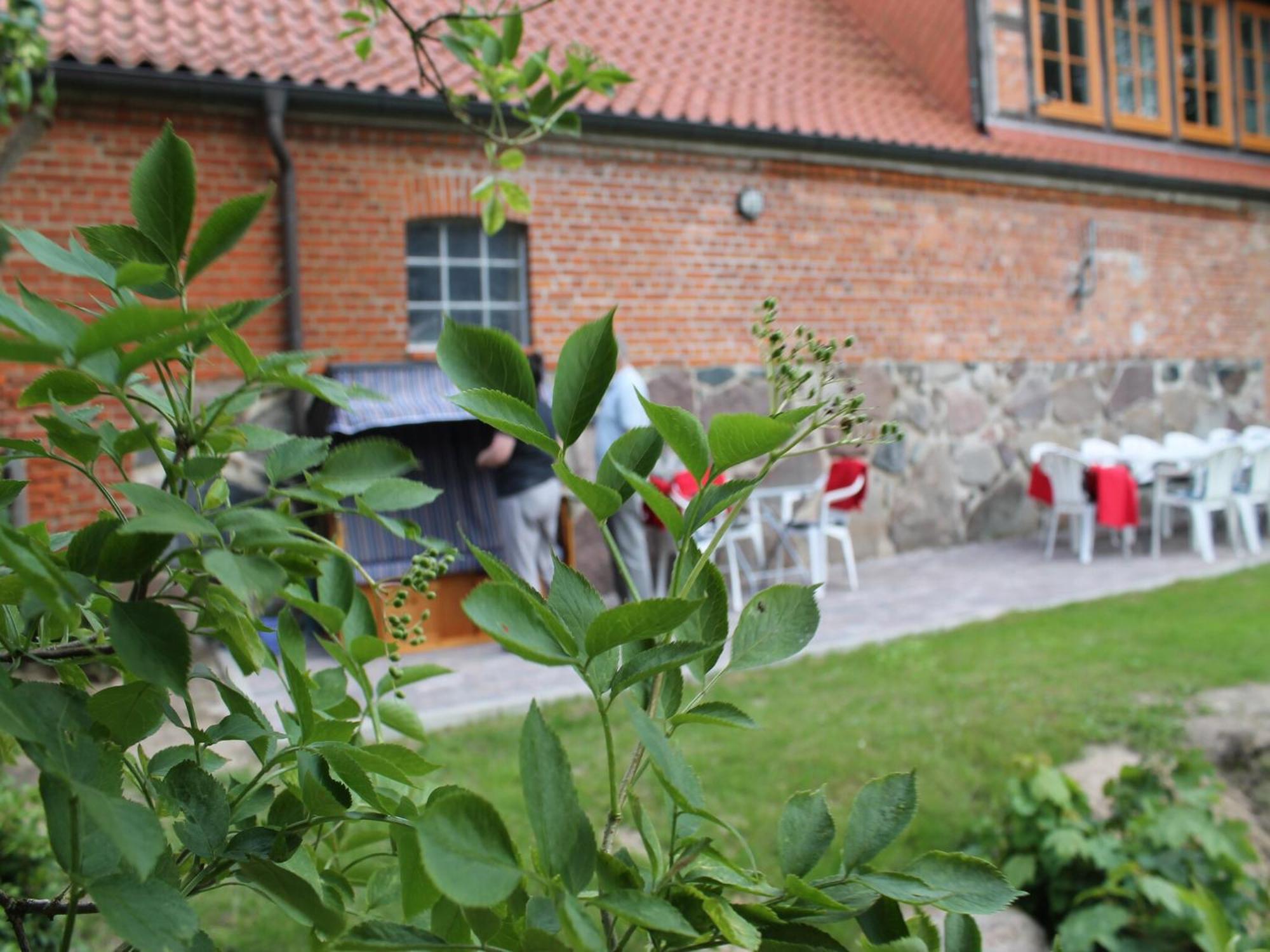 Mansion In Gressow With Terrace Garden Bbq Pond Bicycles Villa Exterior photo